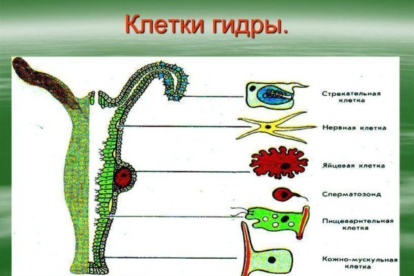 Кракен даркнет рабочая ссылка