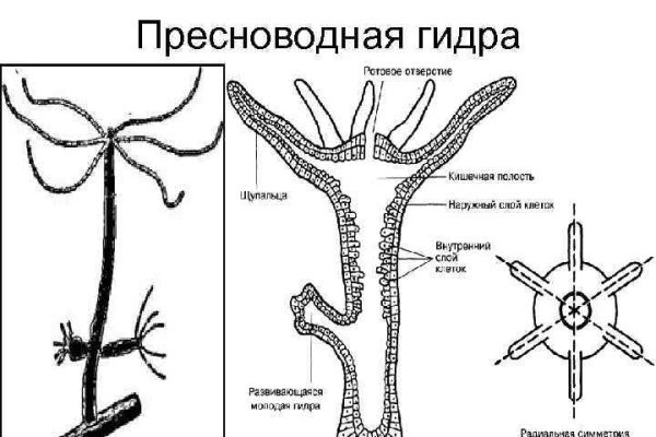 Kraken сайт магазин