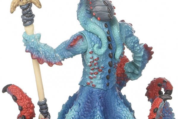 Kraken 12 at