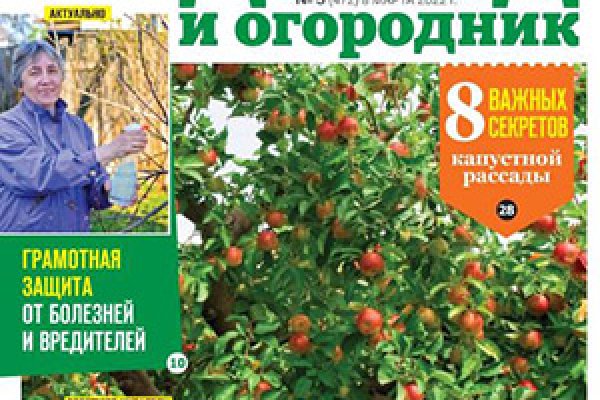 Кракен сайт как выглядит