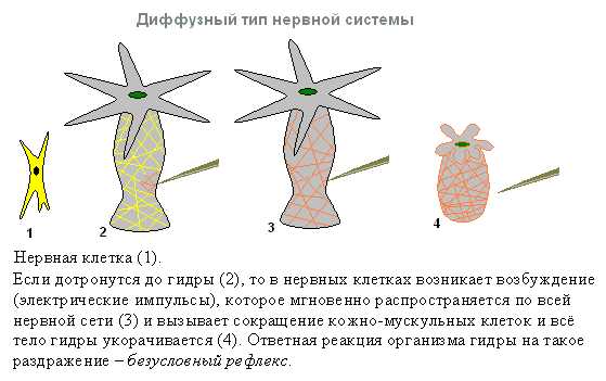 Кракен вход ссылка